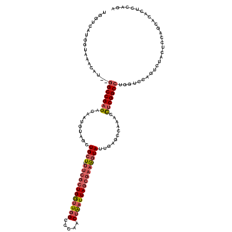 secondary structure