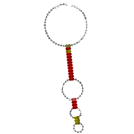 secondary structure