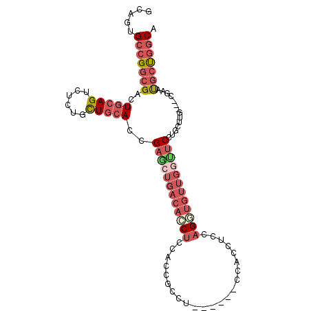 secondary structure