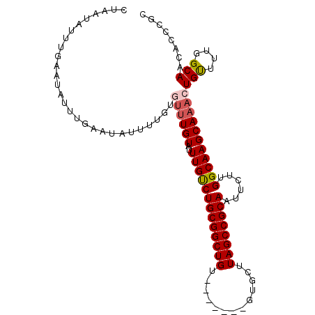 secondary structure