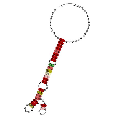 secondary structure