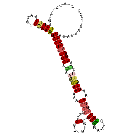 secondary structure