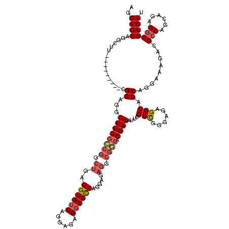 secondary structure