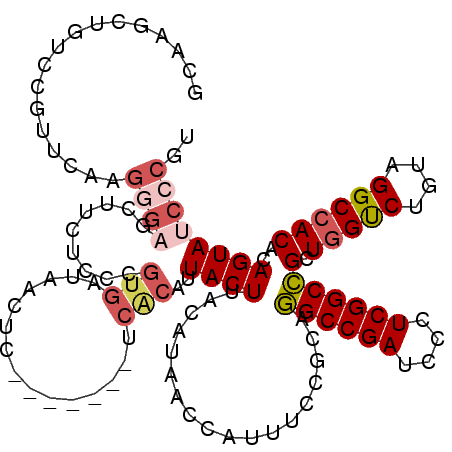 secondary structure