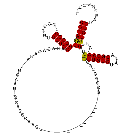 secondary structure