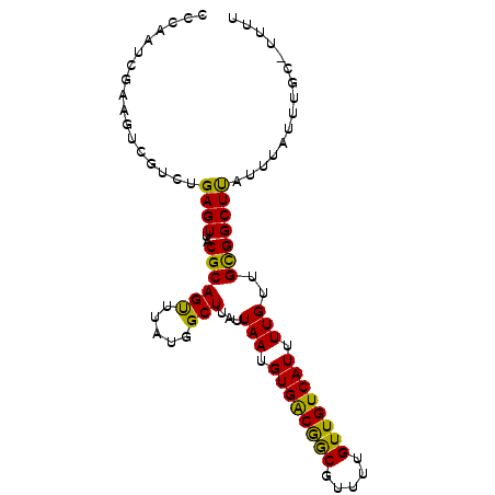 secondary structure