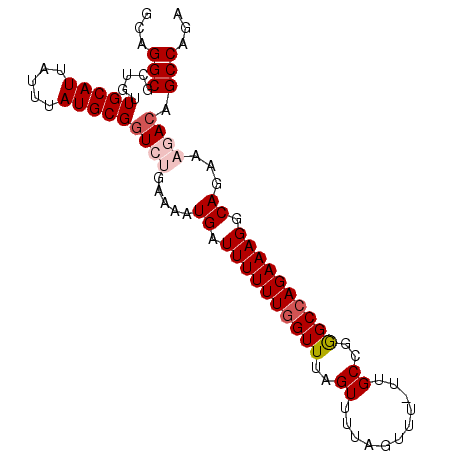 secondary structure