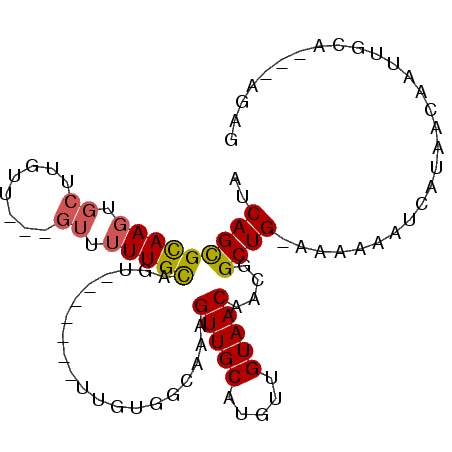 secondary structure