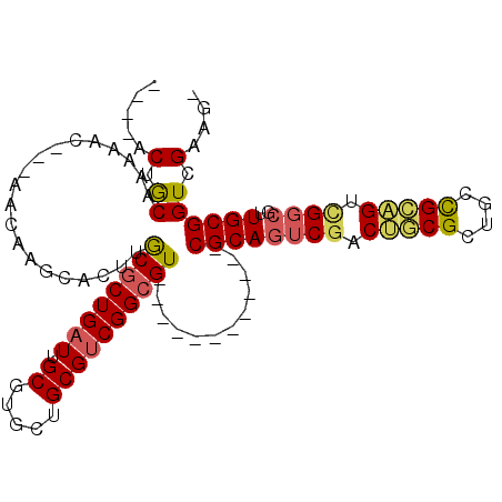 secondary structure