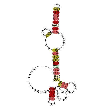 secondary structure
