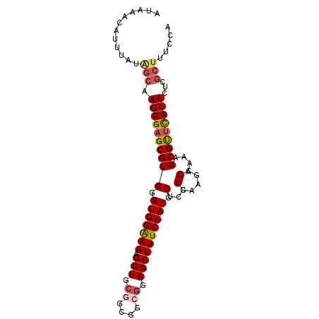 secondary structure
