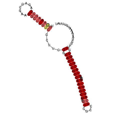 secondary structure