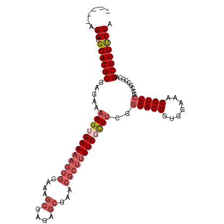 secondary structure
