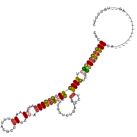 secondary structure