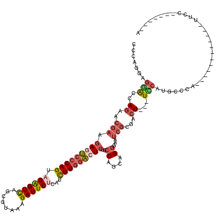 secondary structure
