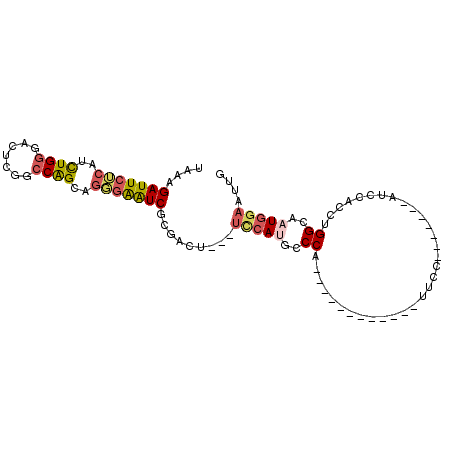 secondary structure