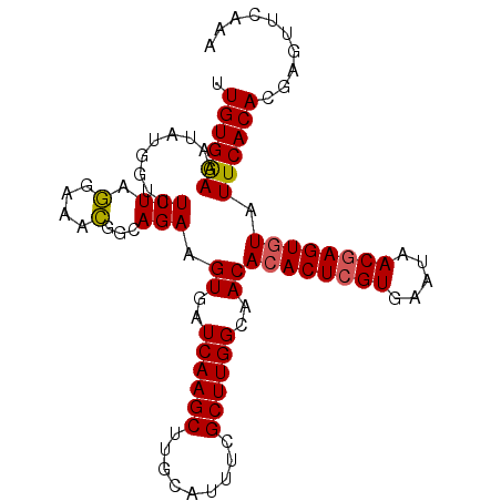 secondary structure