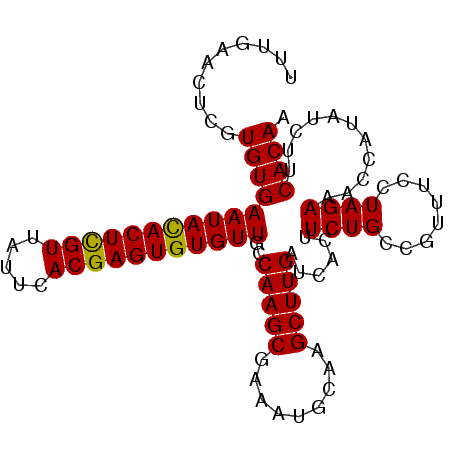 secondary structure