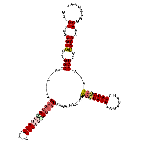 secondary structure