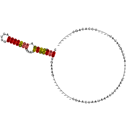 secondary structure