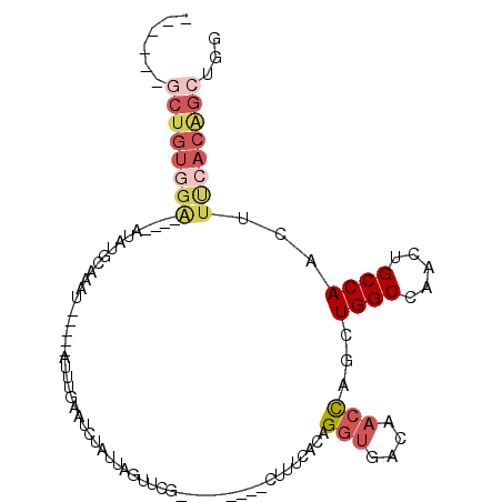 secondary structure