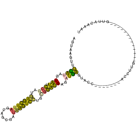 secondary structure