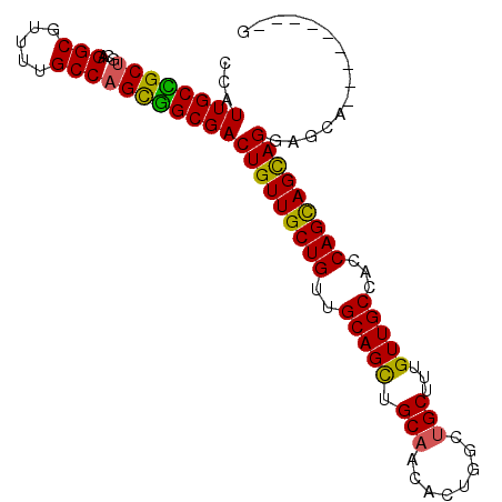 secondary structure