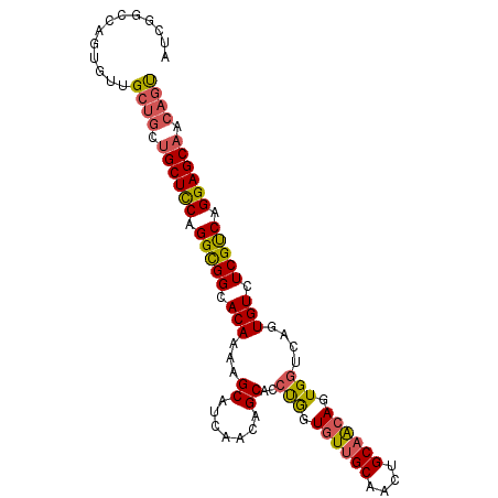 secondary structure