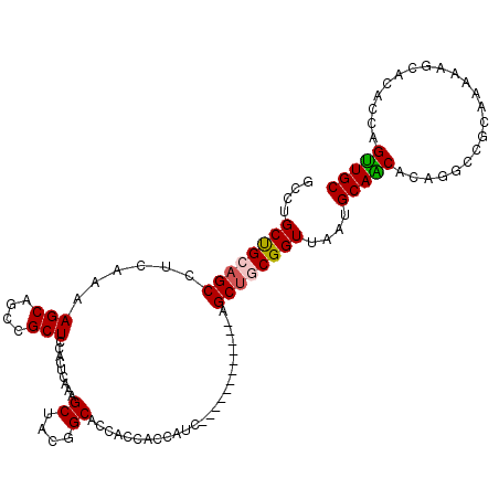 secondary structure