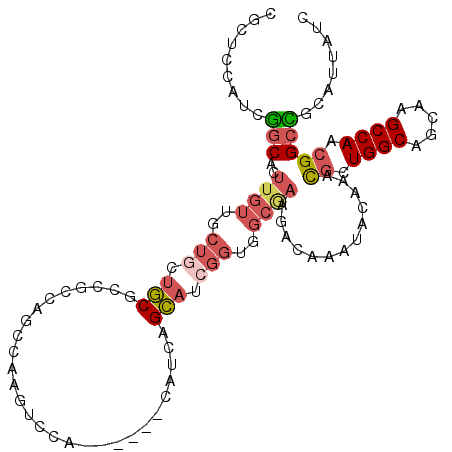 secondary structure