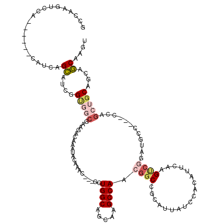 secondary structure