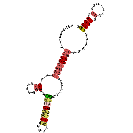 secondary structure