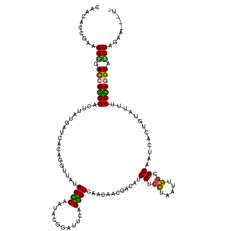 secondary structure