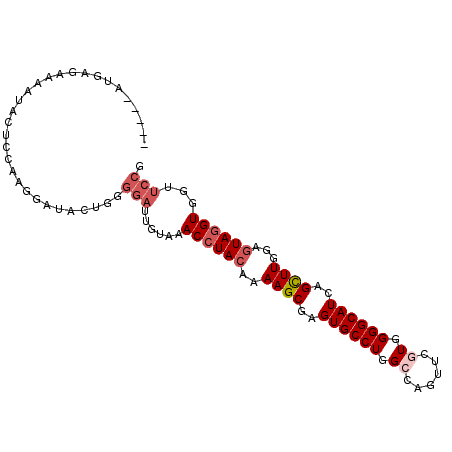 secondary structure