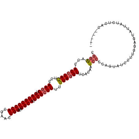 secondary structure