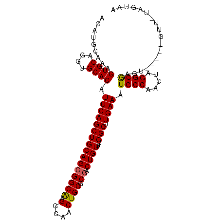 secondary structure