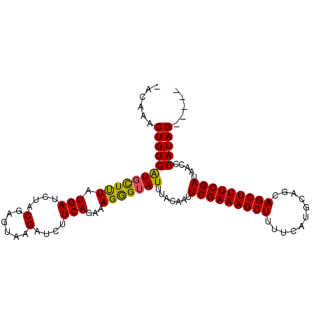secondary structure