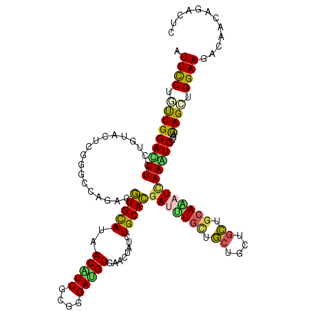 secondary structure