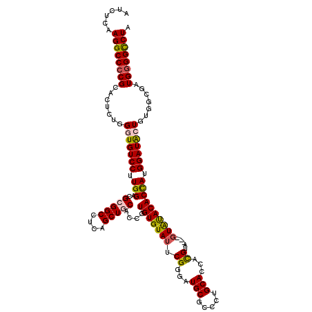 secondary structure