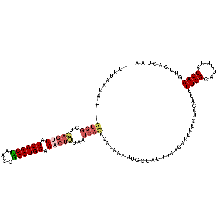 secondary structure