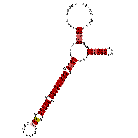 secondary structure