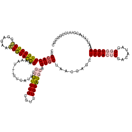secondary structure