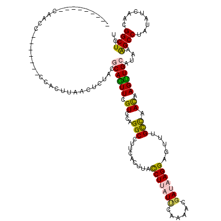 secondary structure