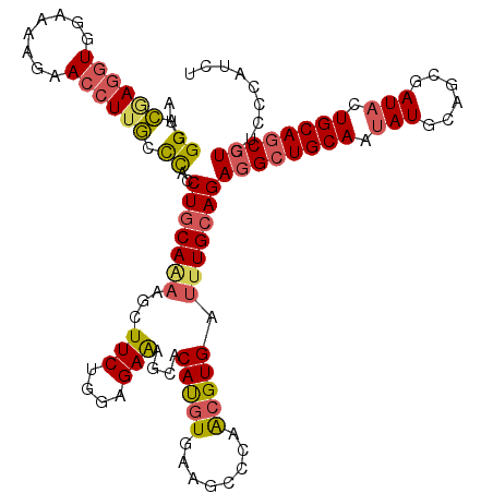 secondary structure