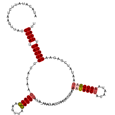 secondary structure