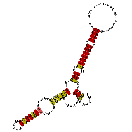 secondary structure