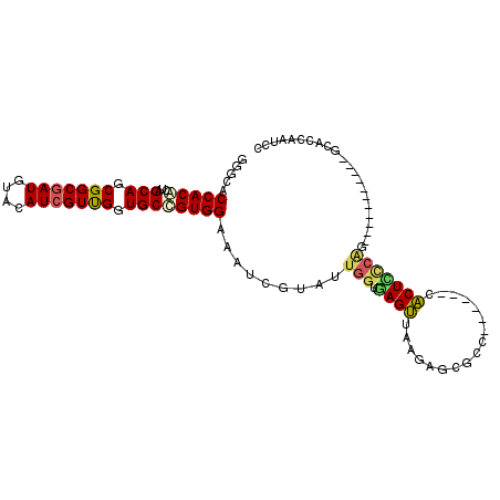 secondary structure