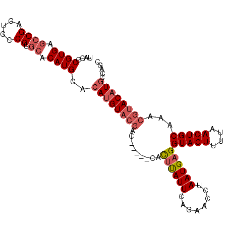 secondary structure