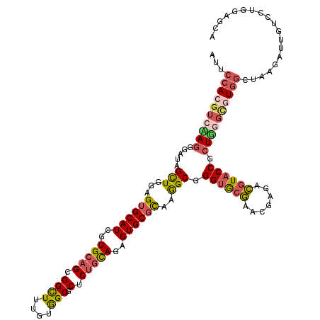 secondary structure