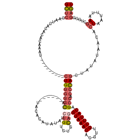 secondary structure